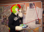 IMG 0699