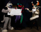 IMG 0365-Edit